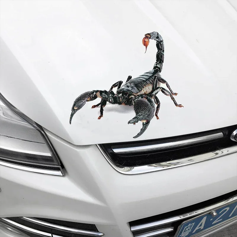 

Автомобильная Наклейка 3D, паук, ящерица, Скорпион, автомобиль, мотоцикл, наклейки с животным рисунком, Автомобильное Зеркало окна, бампер, наклейка, Декор, автомобильные аксессуары
