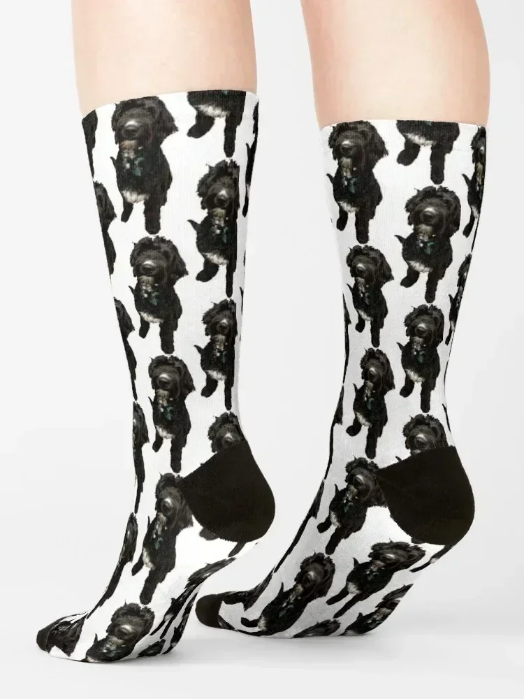 جوارب ريمي ذا بيرنيدودل (كلب القلطي الجبلي البري) أفكار هدايا عيد الحب للرجال جوارب كروسفيت اللامعة للسيدات للرجال