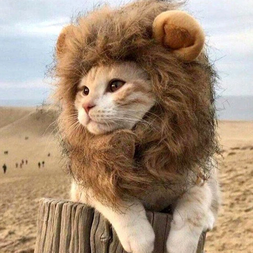 Cat Cosplay Dress Up Pet Hat Lion Mane for Cat Puppy Lion Wig Costume Party Decoration Halloween Christmas Pet Supplies