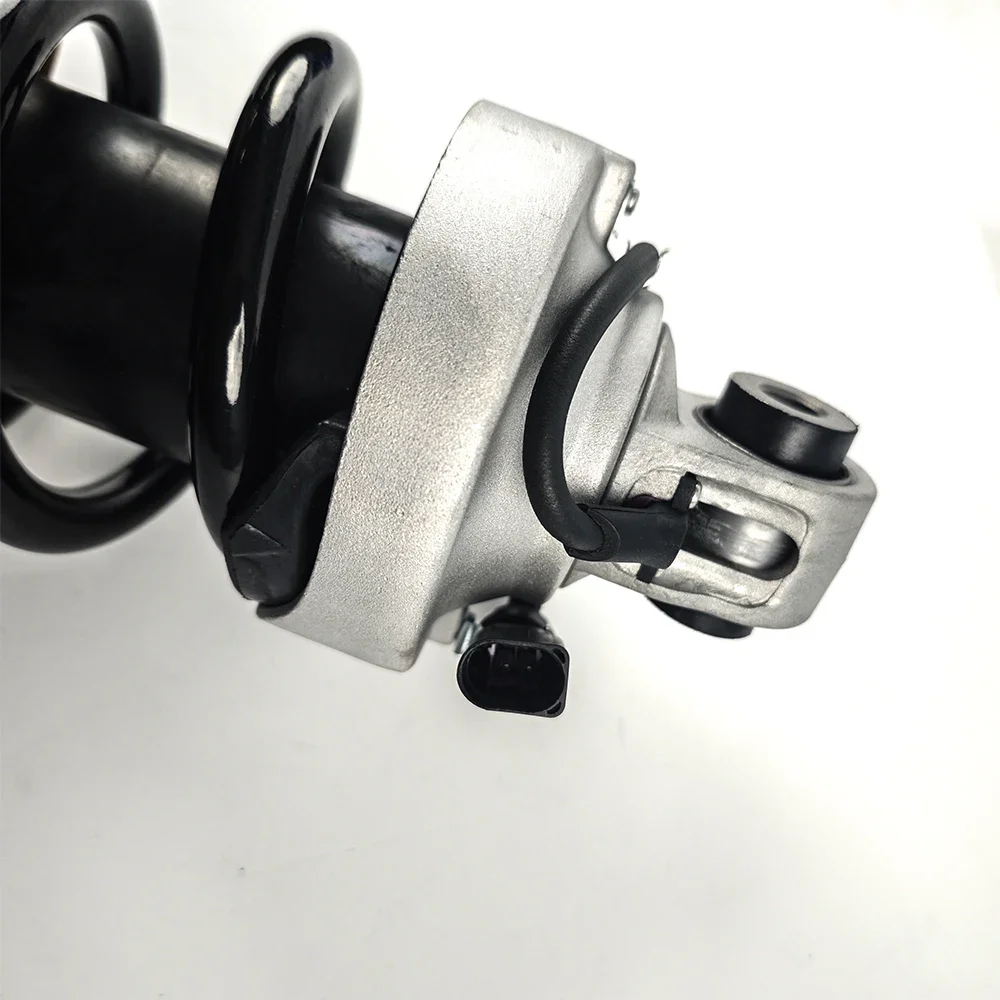 High Quality Auto Parts Car Shock Absorber Front Shock Absorbers For aud AG R8 420412019AG