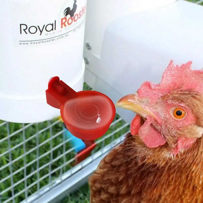 Chicken Quail Hanging Water Cups Nipple Drinking Bowl Birds Water Bowl Drinker Cups for Backyard Automatic Poultry