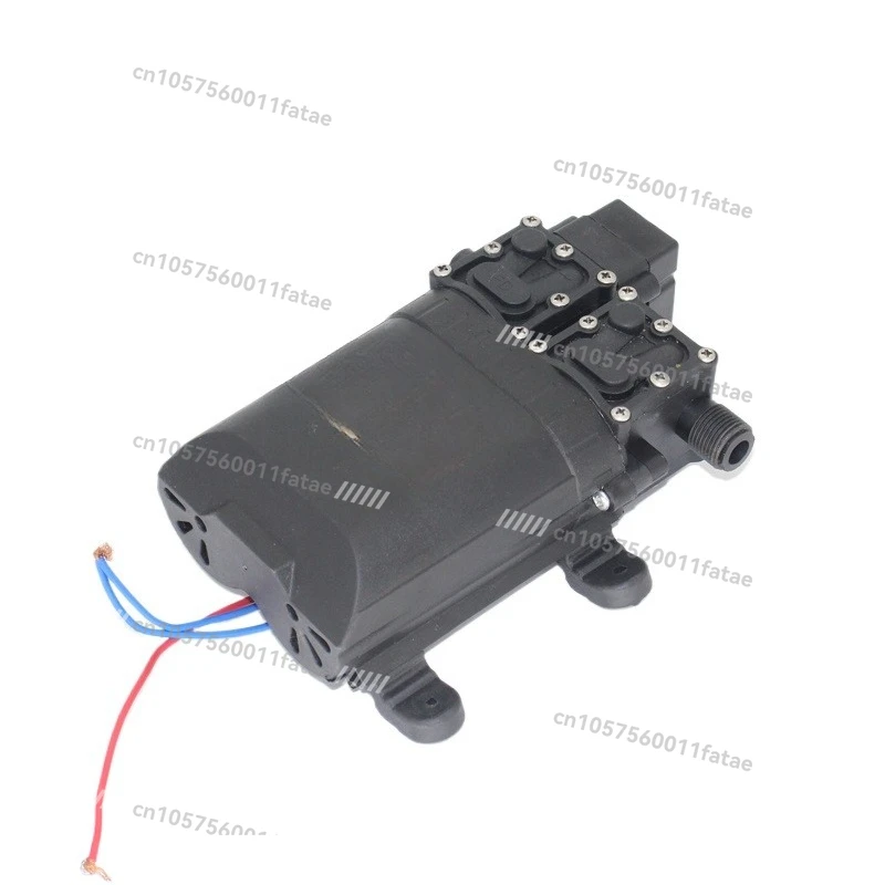 

Self-priming Double Core Pump 12V Volt Agricultural Electric Sprayer Water Pump High Pressure Car Wash and Dispenser Accessories