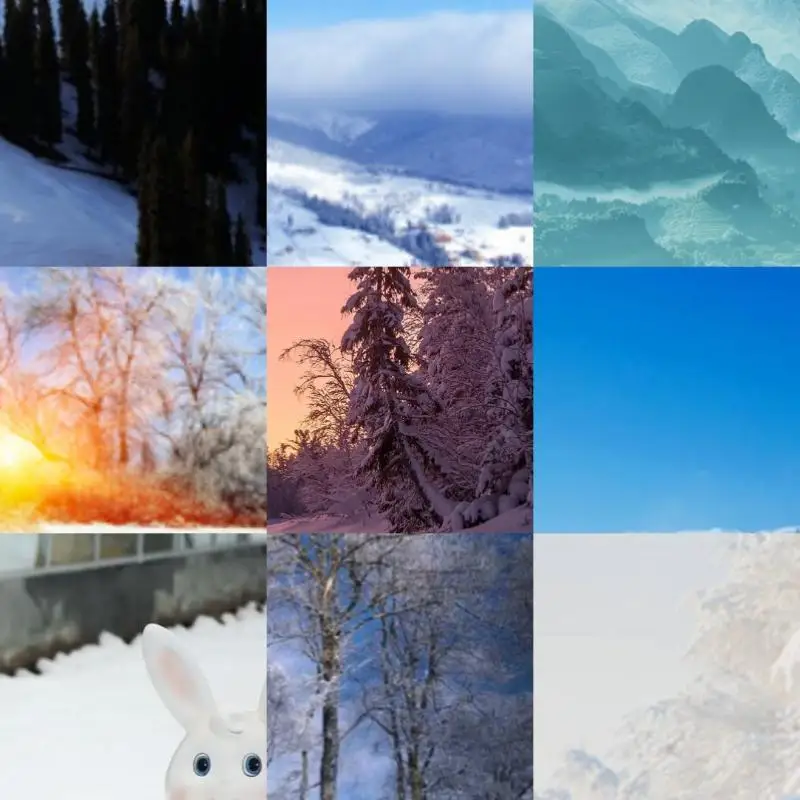 

Portable Memory Storage Adapter USB 3.1 Gen 2 External Card Reader 10Gbps for Laptop Computer Phone for MacBook iPad Chromebook