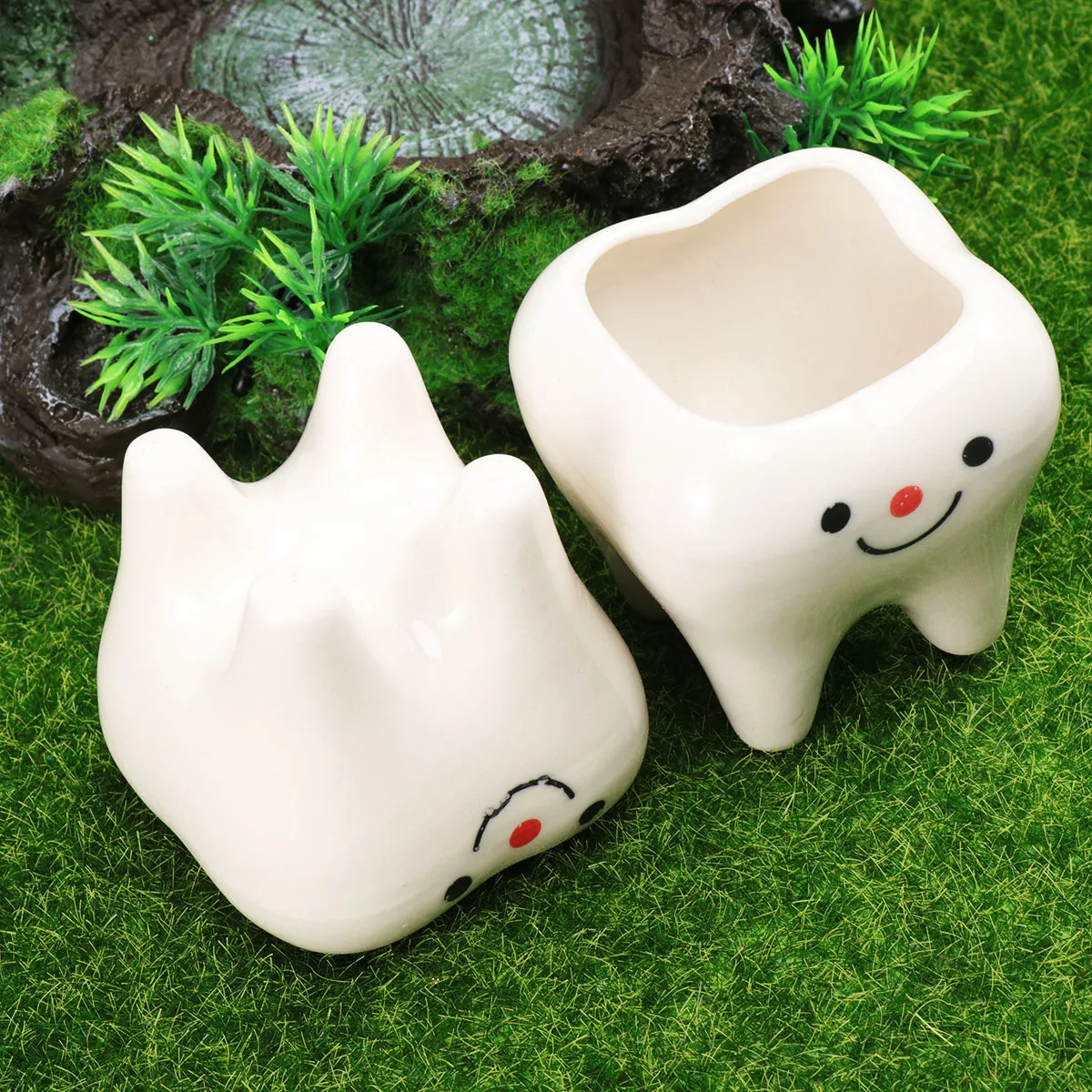 

2 Pcs Flower Pot Tooth Vase Succulent Planter Pots Decoration Shaped Container Mini