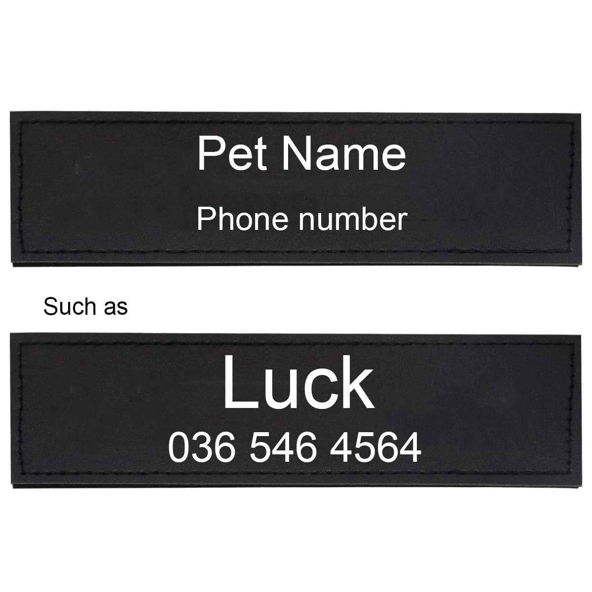 PatchCustom: The Only Dog Patch That Actually Stays On And Why My Labrador Can’t Stop Rolling in It