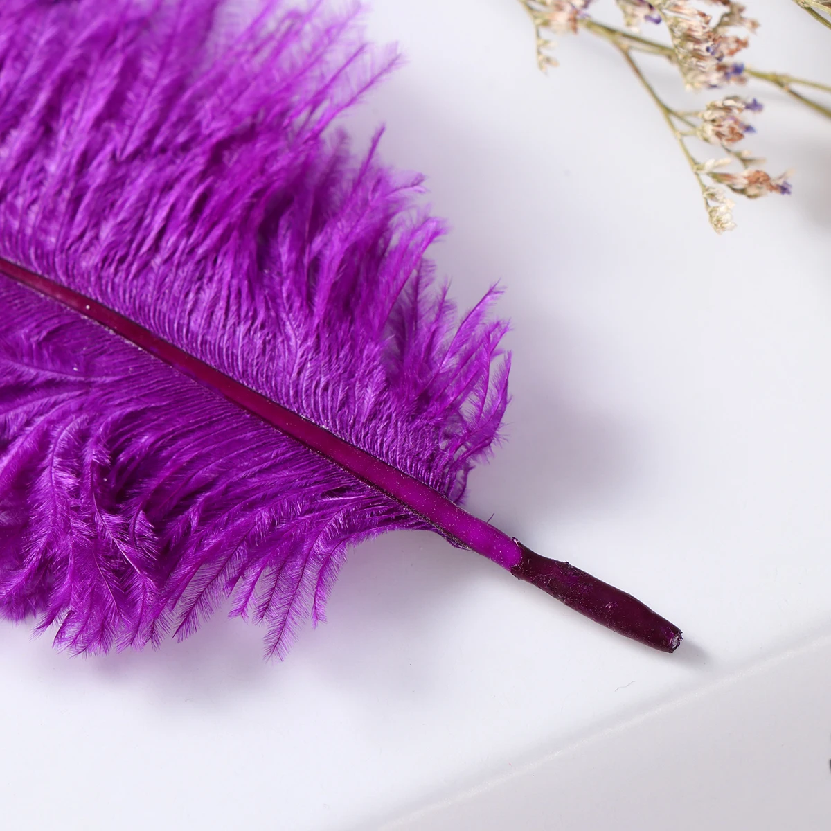 

10 Pcs Ostrich Decorations Natural Artificial Wedding Party Costume Accessories Elegant for Hat Floral