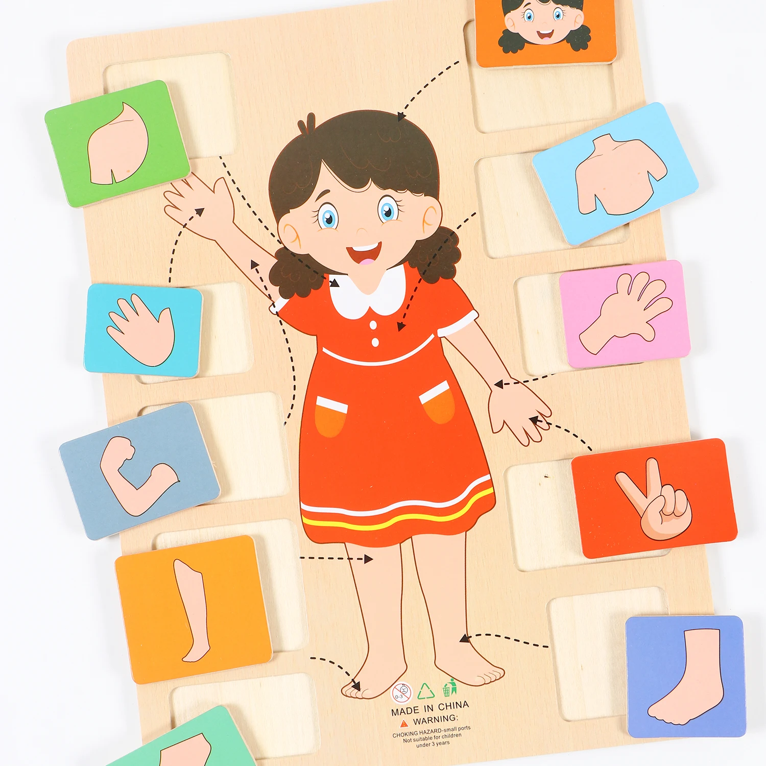 

1 Set of Wooden Learning Boards for Schools, Offices, and Families, a Universal Tool for Learning about My Boday, Is the Perfect Gift for Family, Friends, and Loved Ones.