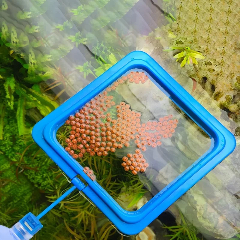 2/4pc Floating Fish Food Feeder Ring - Square Circle Aquarium Station with Suction Cup, Easy Food Dispenser, Space-Saving Design