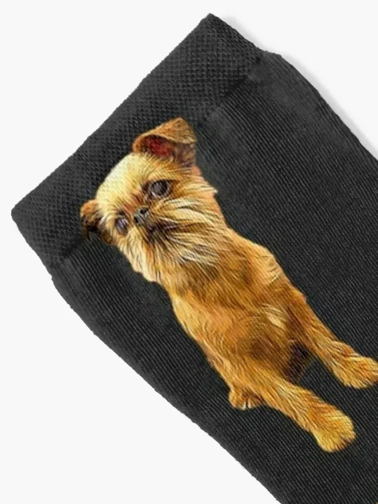 Brussels Griffon Bruxellois Cute Puppy Dog Socks cool hiking Argentina Socks Men Women's