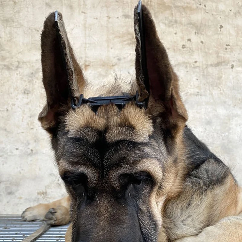 1 Stück Hunde ohr ständer Korrektor Ohrpflege-Werkzeug Ohr Stand-up-Werkzeug für Dobermann Pinscher Hund Samoyed Great Dane