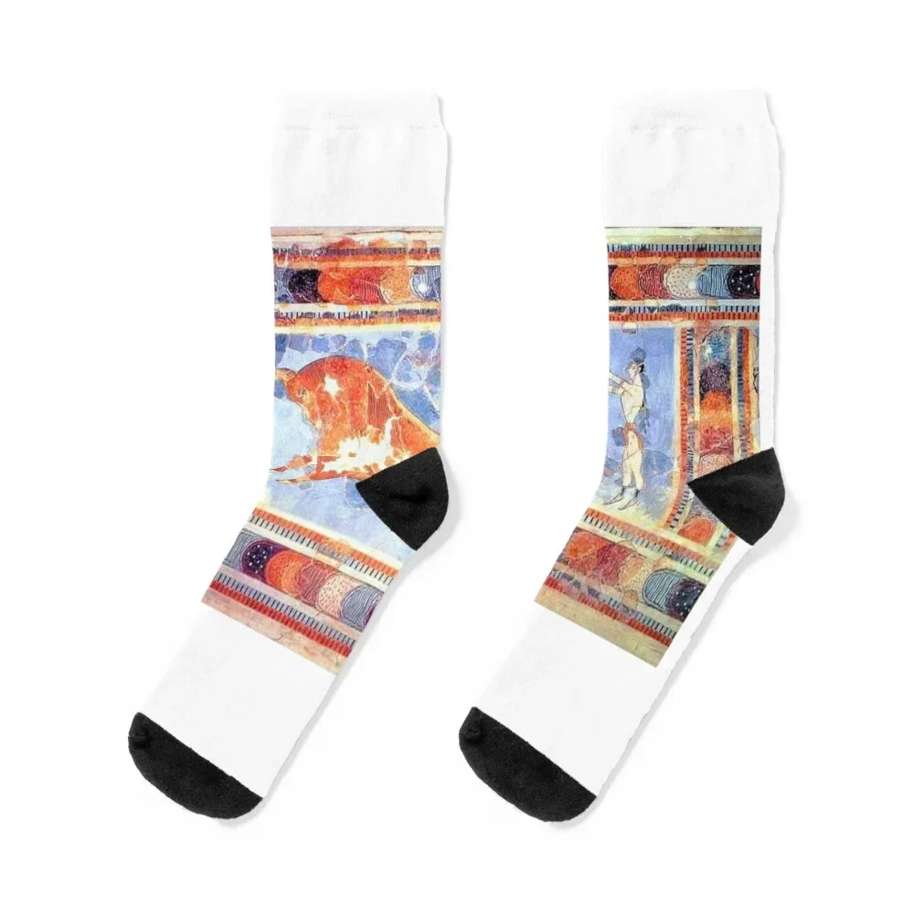 Minoan Bull Leaping Fresco Socks valentine gift ideas warm winter Male Socks Women's