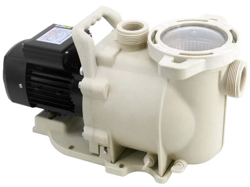 SFP100 1HP LX High Efficiency Swimming Pool Pumps Equipment for Your Pool