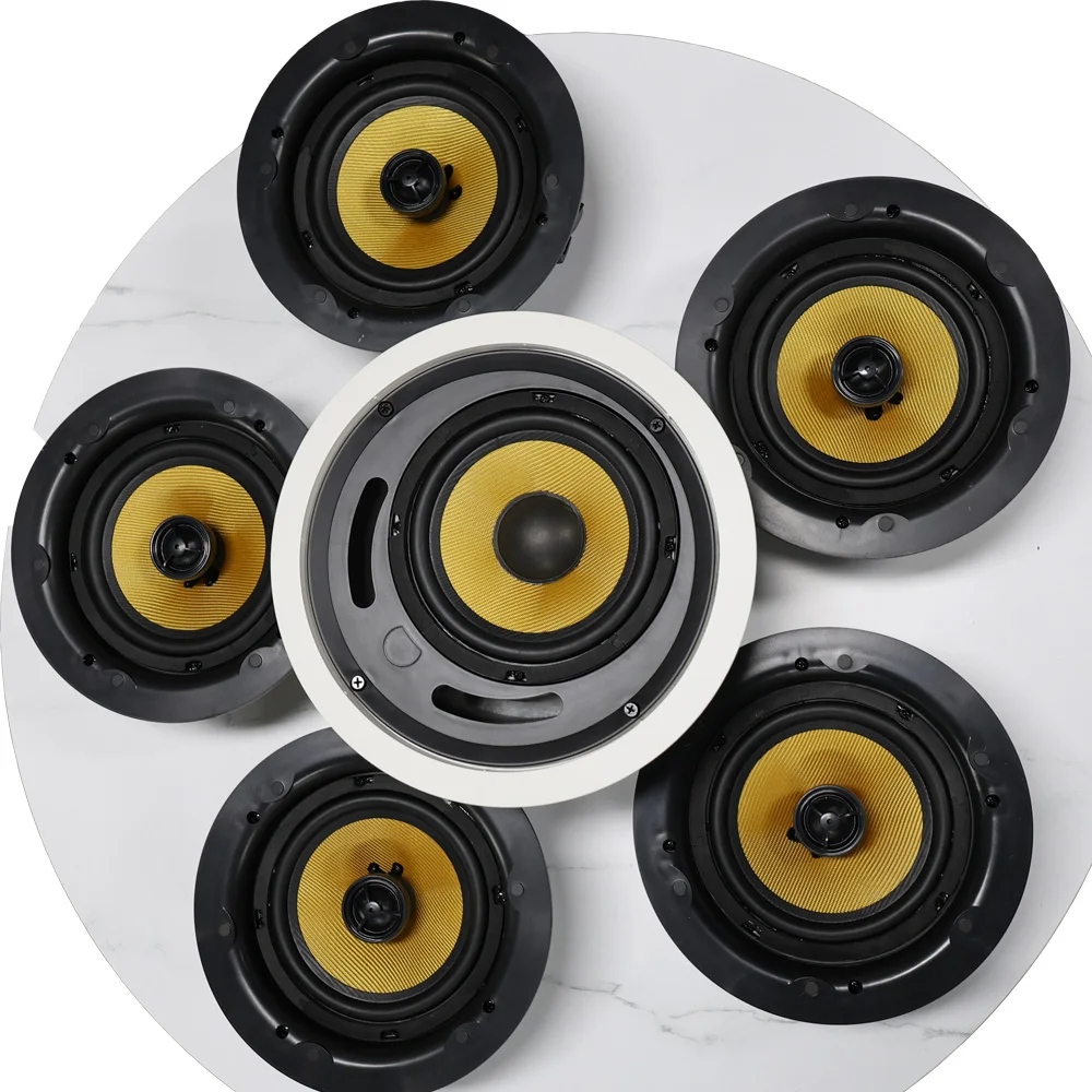 Sistema di altoparlanti intelligenti per home theater Tipo da soffitto Subwoofer attivo 5 Suoni surround WIFI wireless per multi-ambiente Bluetooth