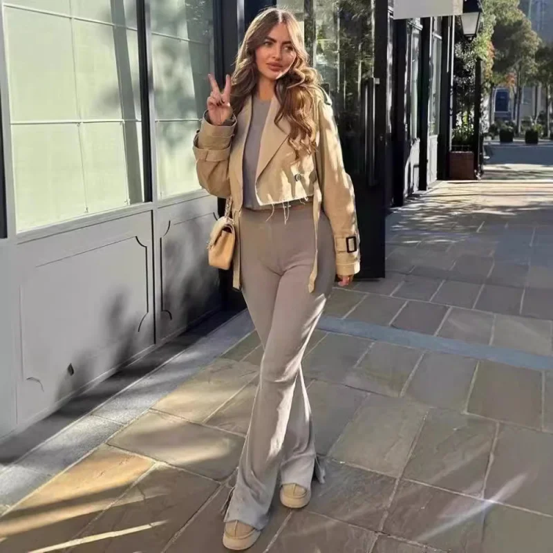 

Лидер продаж, женское весенне-осеннее популярное короткое повседневное однотонное пальто с длинными рукавами в европейском и американском стиле