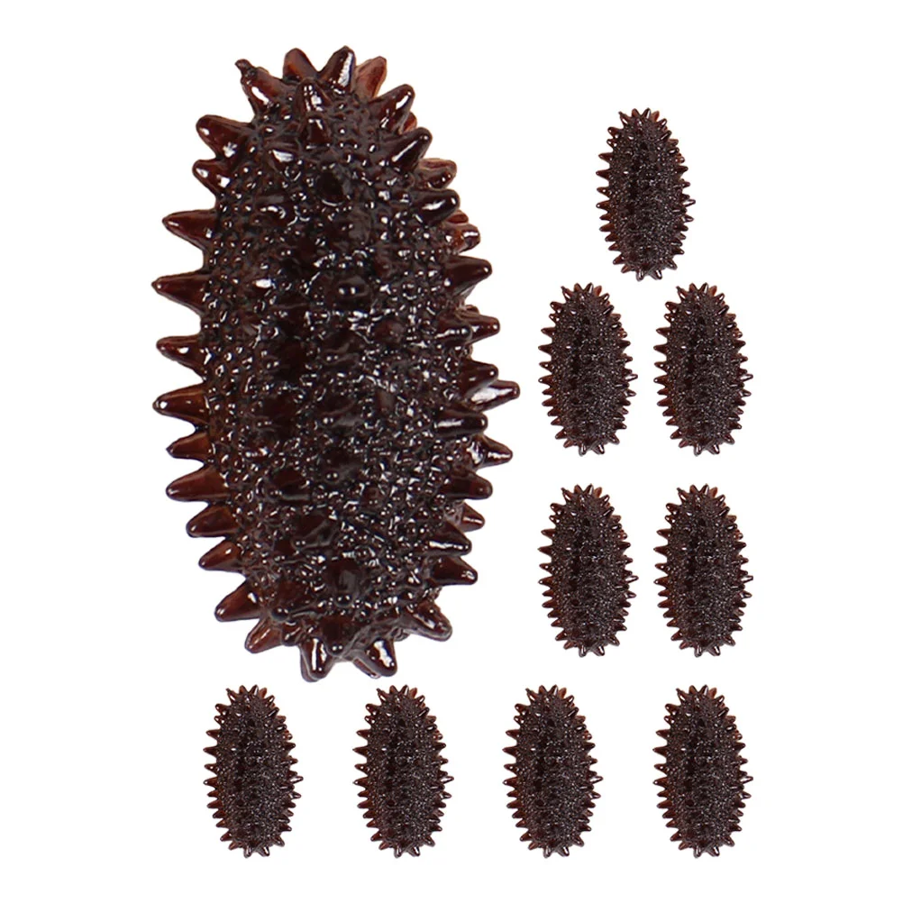 Faux Artificial Sea Cucumber Models Decorative Other Simulated Food Science Educational Playthings