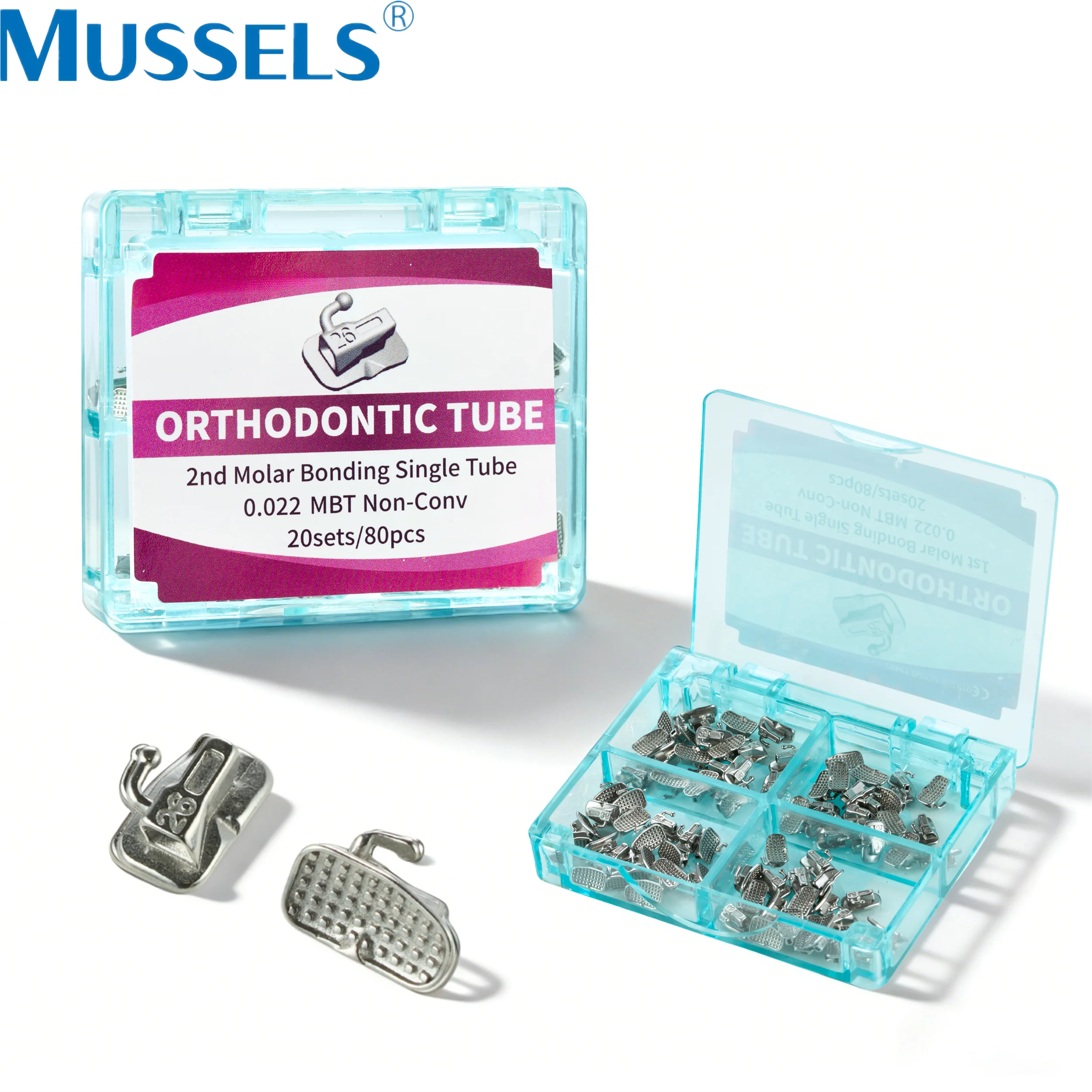 Dental Orthodontic …