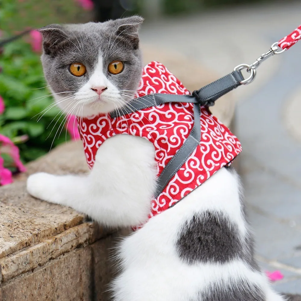 coleira-peitoral-para-gatos-em-tecido-macio-azul-solido-com-cinto-ajustavel-e-opcoes-de-varios-tamanhos-para-passeio-de-gatinhos