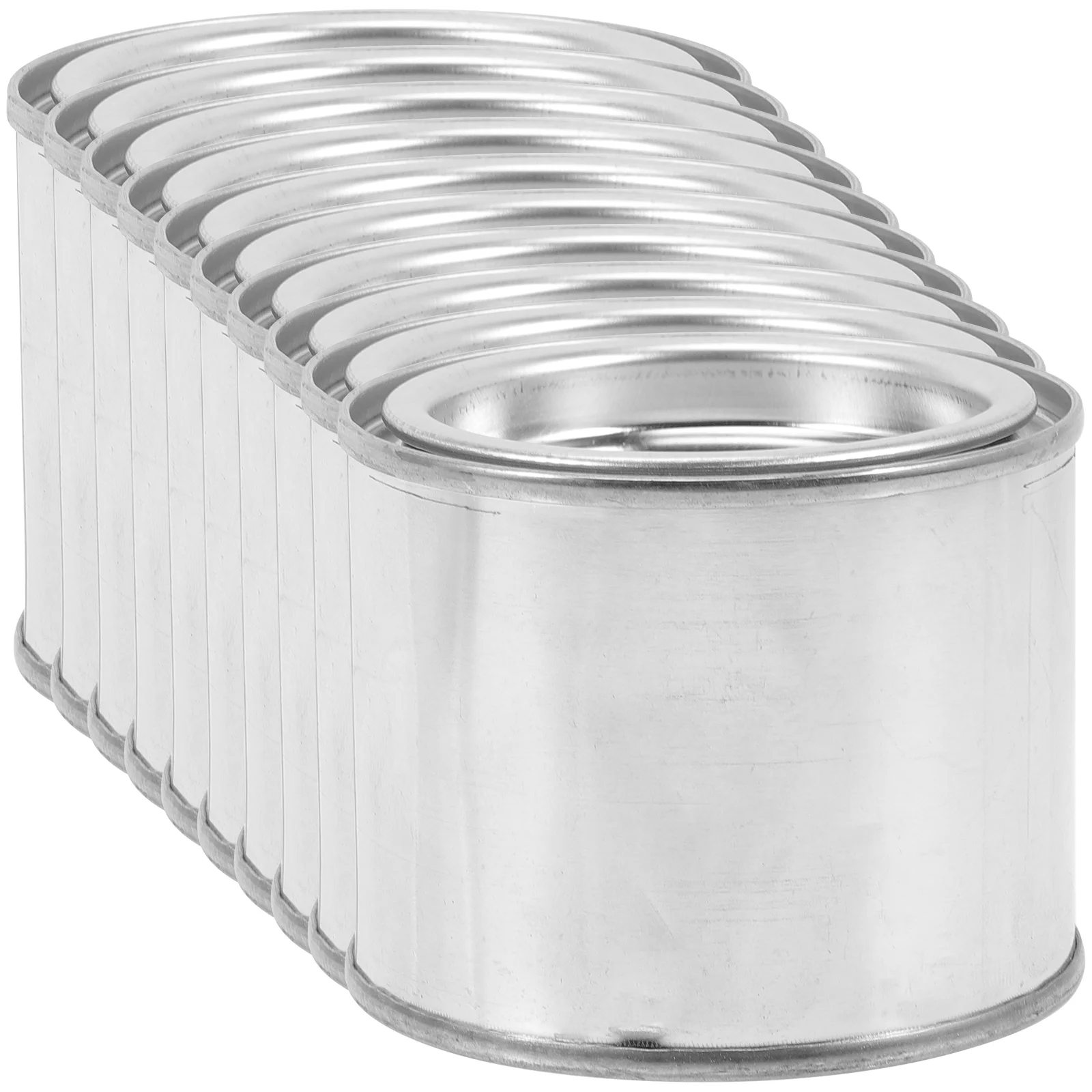 

10 Pcs Metal Bucket with Lid Iron Empty Aluminum Cans Paint Storage Containers for Leftover