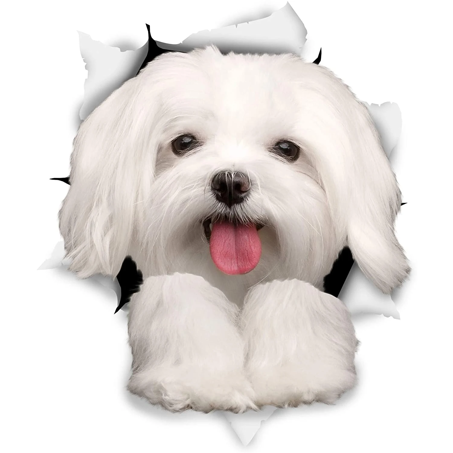 LYKX Cute Maltese Dog Car Sticker Decoration Cover Scratch Decal Laptop Truck Motorcycle Auto Accessories PVC,12cm*9cm