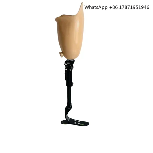 

Pneumatic knee type Prosthetic Implant Leg Artificial Limbs Leg For Amputee Leg Prosthesis