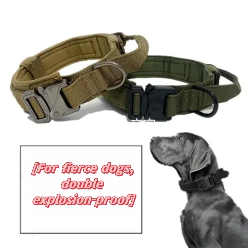 

Dog Collar Nylon Strong Anti Break Affordable Cheap Good Thing Size Adjustable Pet Love Pet Supplies