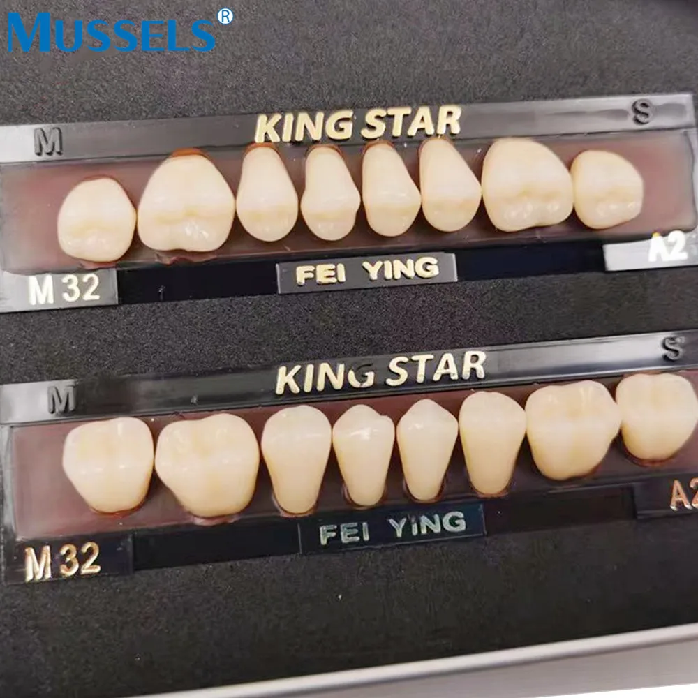 28 stks/set Tandheelkundige Prothese Plastic Staal Valse Tanden Hars Porselein Tand Volledige Set Orale Materialen Tandheelkunde Anterior Posterior