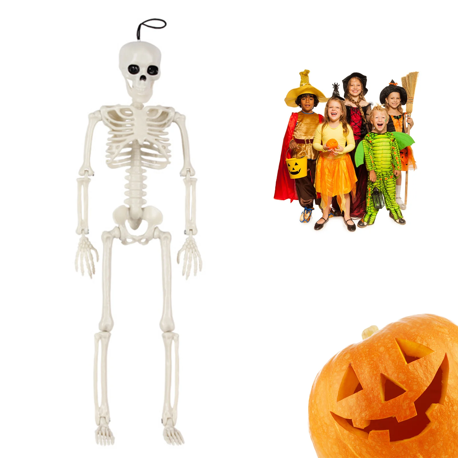 Halloween Life Size Skeleton Full Body 40cm Posable Halloween Skeleton Decor with Movable Joints for Haunted Houses Cemeteries