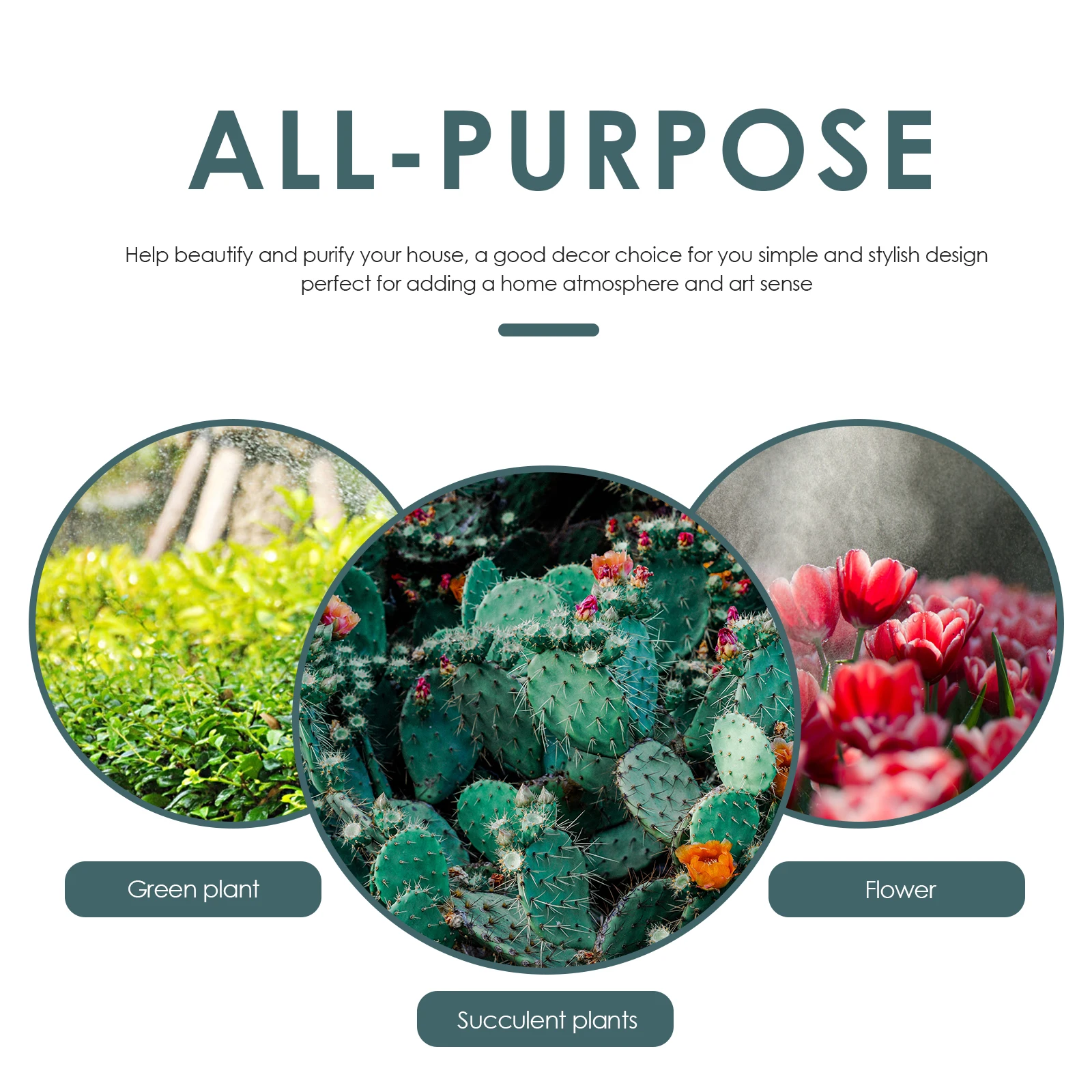 

5pcs Thickened Root Control Basin Tray for Plant Pots Indoor Outdoor Extra Large Durable Plastic Saucer Waterproof Leakproof