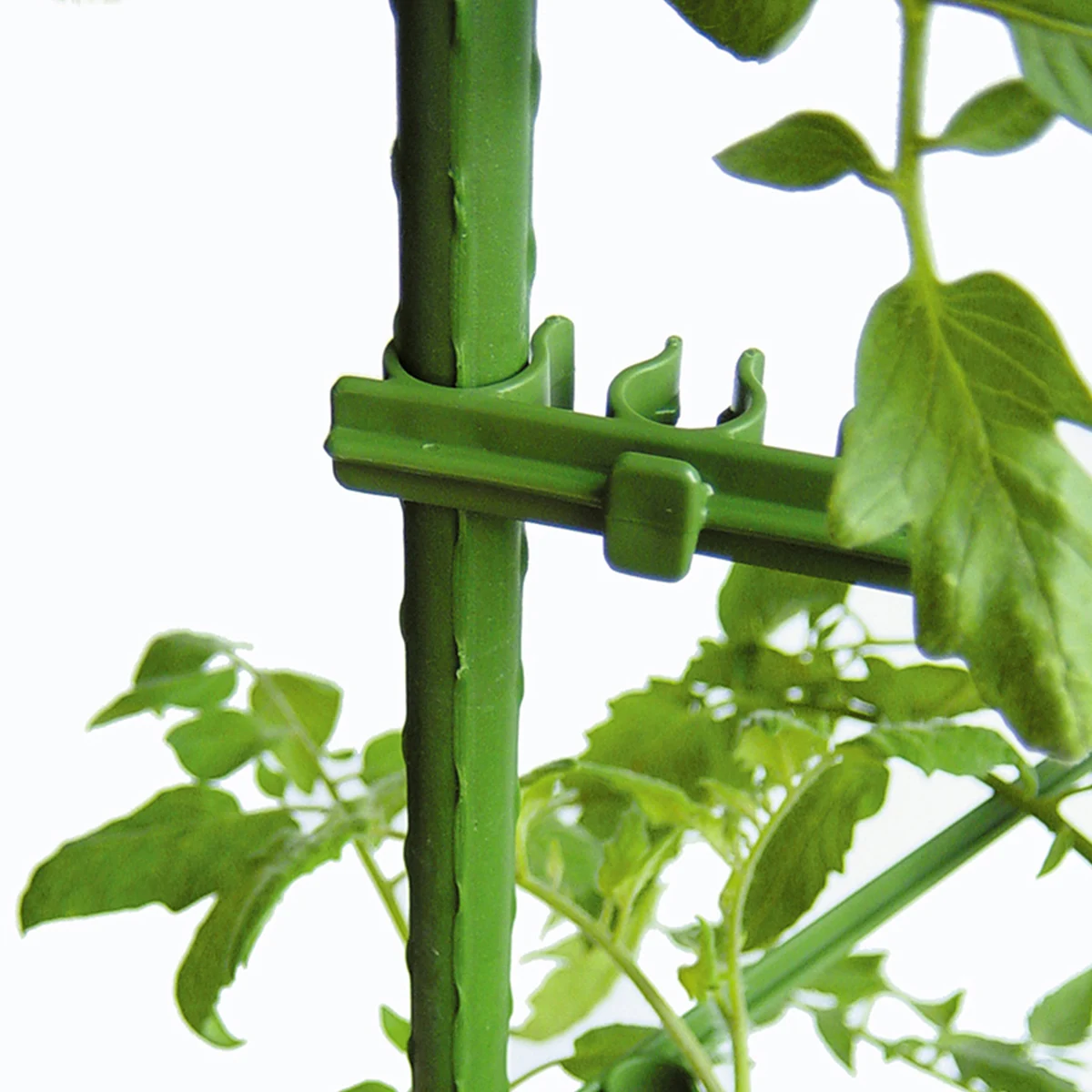 

50pcs Horizontal Arm Clip For 11Mm Round Tube Adjustable Garden Stake Joint Climbing Vine Support Buckle Tomato Cucumber Plant