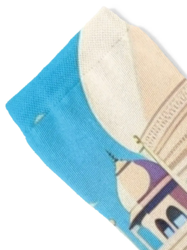 Taj Mahal Socks colored winter kawaii fashionable Socks Women Men's