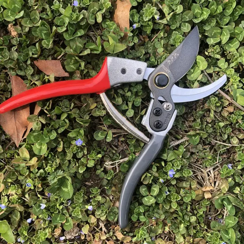 1PC Spare Spring Pruning Shears Stainless Steel Silkworm Type Steel Skin Pruning Grafting Scissors Components Garden Accessories