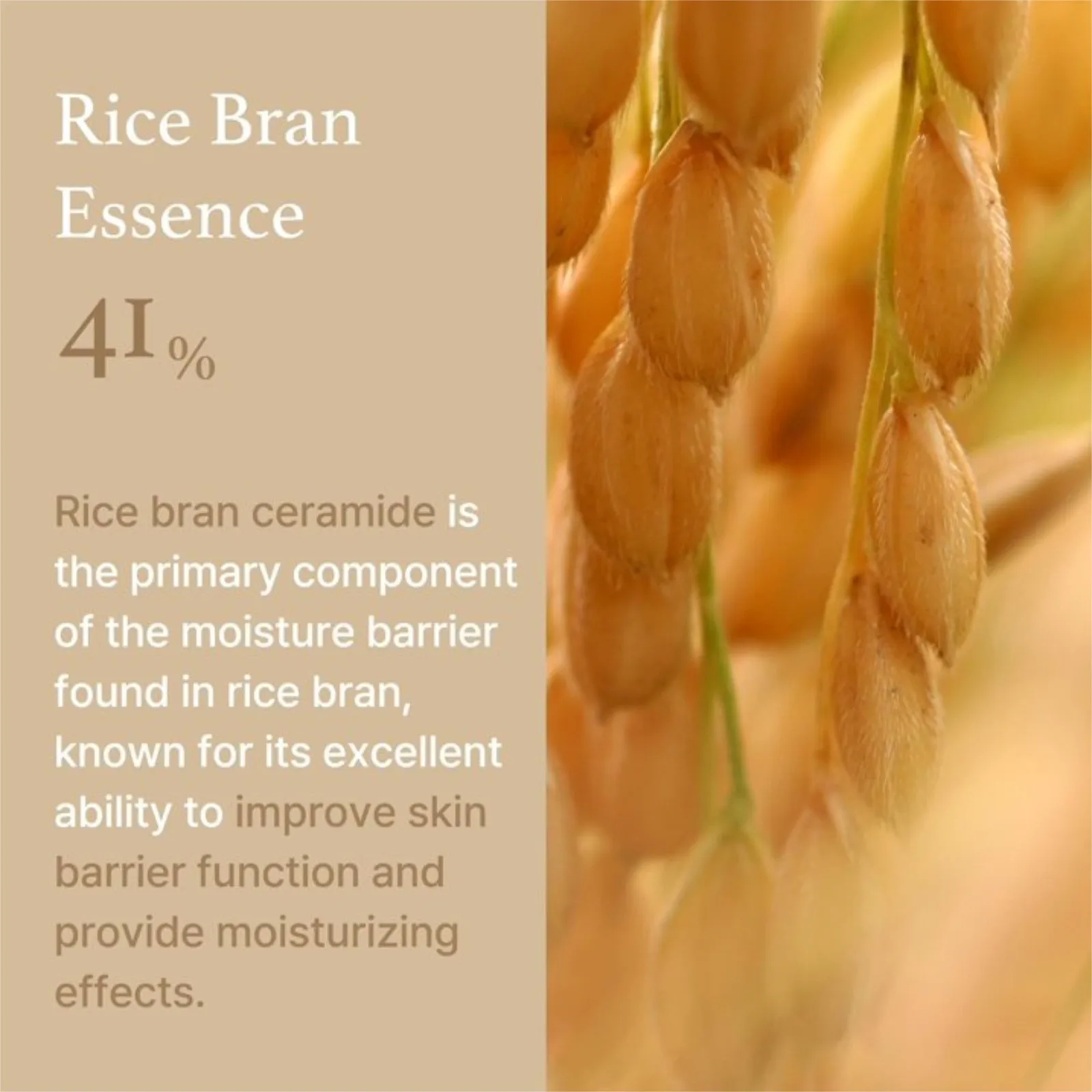 41% Rice Paste, Rice Bran With Ceramide, Glowing Look, Improves Moisture Skin Barrier, Nourishes Deeply, Soothing Skin