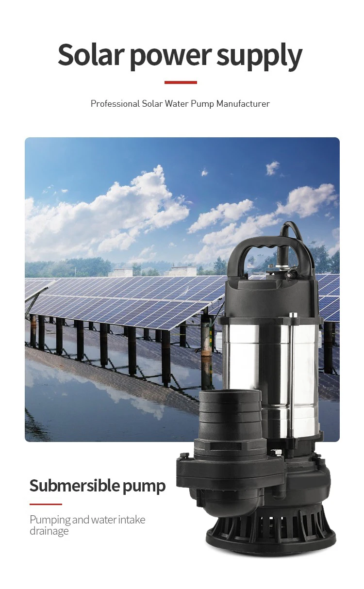 Mini 1 HP 48 V DC Bürstenloser Motor Solar-Tauchpumpe Preis Tragbare 3'' Dometic Impeller Salzige Meerwasser-Hebepumpe für Boot – Detail 2