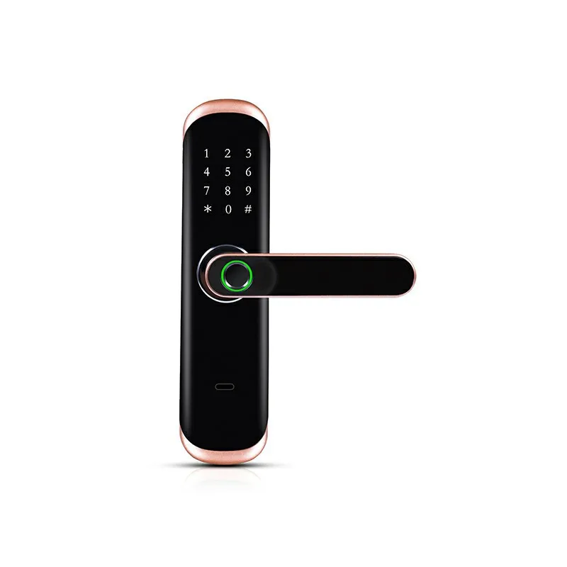 TTLock APP Remotely Biometric Fingerprint RFID Card Code Bluetooth Password Electronic Mechanical Key Smart Door Lock