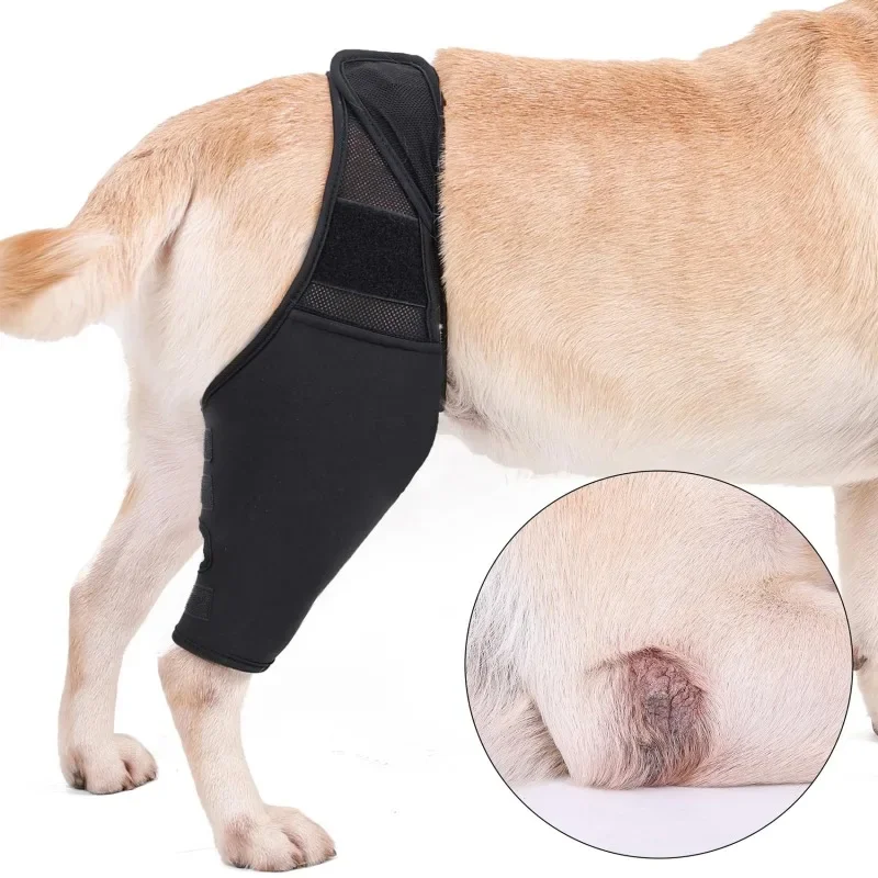 2024 Pet Knee Pads for Joint Injury Recovery Legs Protector Dog Thigh Brace Wrap Adjustable Support Belt Post-operative Fixation