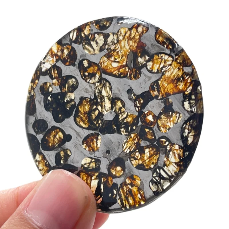 Seymchan Pallasite Meteorite Slice Natural Olivine Crystal Inclusions Cosmic Collectible QA861