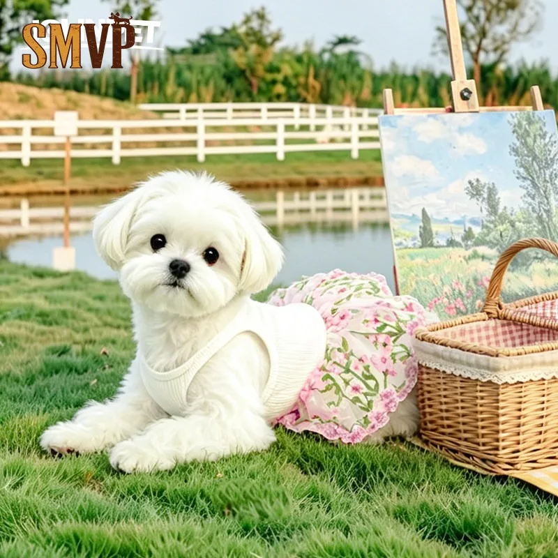 Embroidery Floral Butterfly Tulle Pet Sling Dress Ribbed Knit Puppy Princess Dress Summer Cute Small Dog Cat Daily Party Outfit