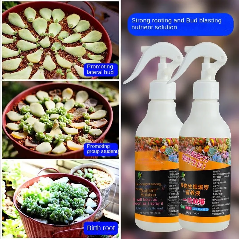 Special fertilizer for succulents to increase fertilizer and color, take root and burst buds, potted flower fertilizer