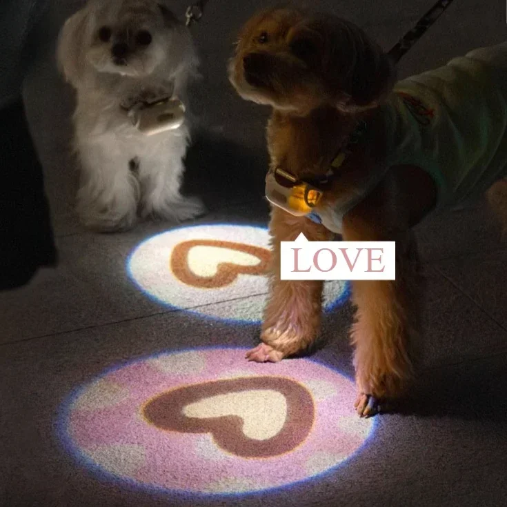 Dog luminous collar dog collar anti-lost neck ring pet outdoor night lighting led projection light walking dog light