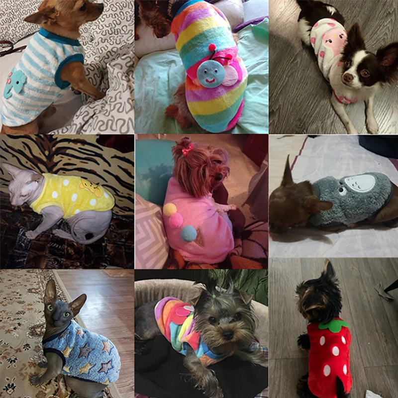 Flanella vestiti caldi per cani da compagnia inverno per cani di piccola taglia cappotto per gatti giacca maglione carino cani morbidi animali domestici abbigliamento Chihuahua Bulldog tazza da tè