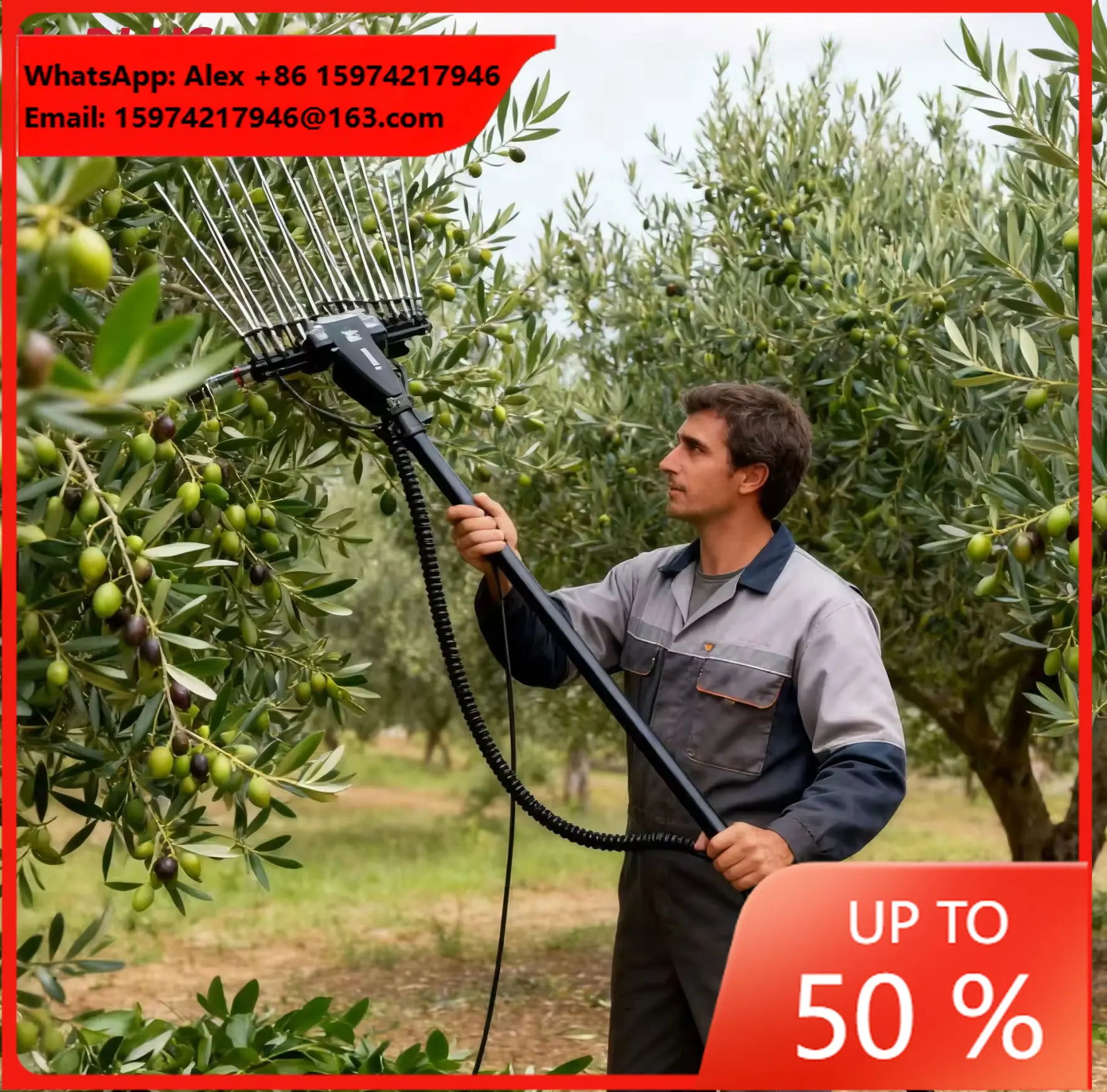Olive Tree Harvest Machine New Energy Equipped With Big Capacity Battery Pack 36V Strong Power Olive Harvester