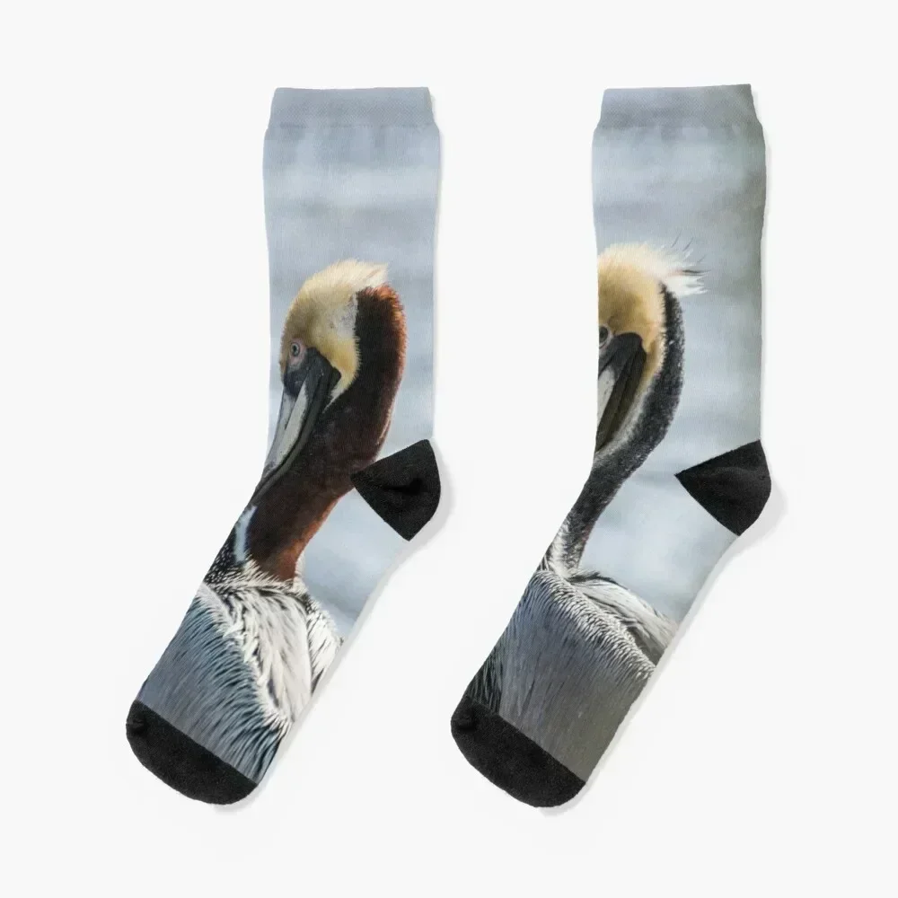 

Brown Pelican 3 Socks christmas gift man designer FASHION Socks Man Women's