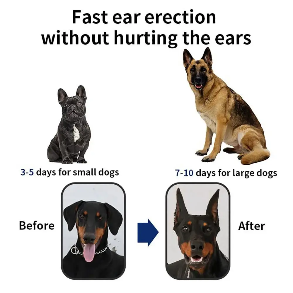 Pet Supplies Self Adhensive Anti allergy Ear Correction Ear Erection Dog Stand Ear Dog Ear Support