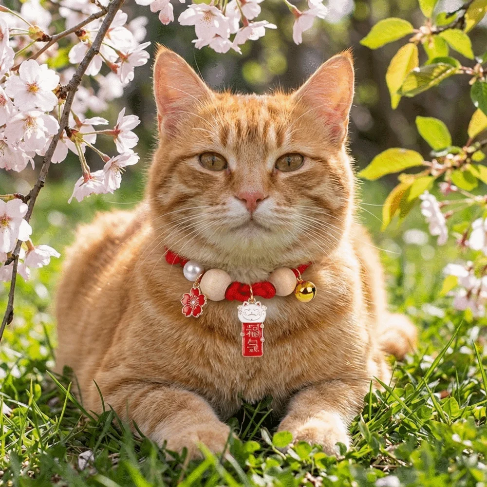 Ethnic Fashion Design - Fashion Adjustable Cat Flea Collar Handmade