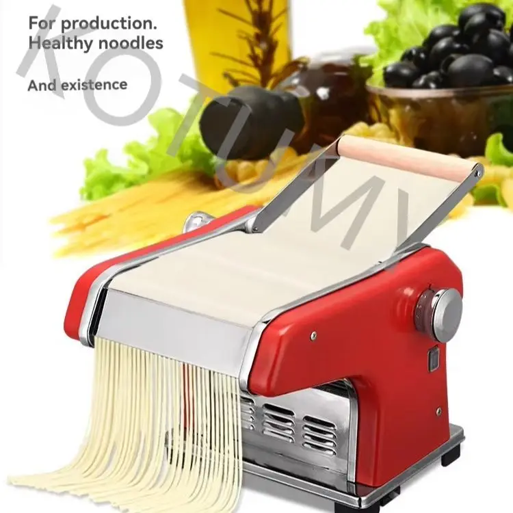 Fully Automatic Stainless Steel Pasta Spaghetti Maker Dual-Blade Manual Noodle Maker