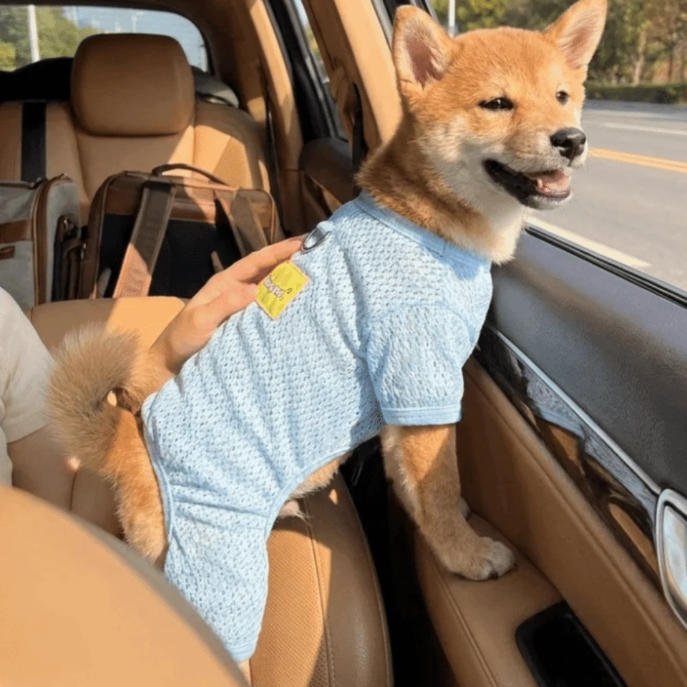 Breathable Mesh Dog Sun Protection Clothes Quick Drying with Traction Summer Pet Clothes Thin Dog Cooling Jumpsuit Summer