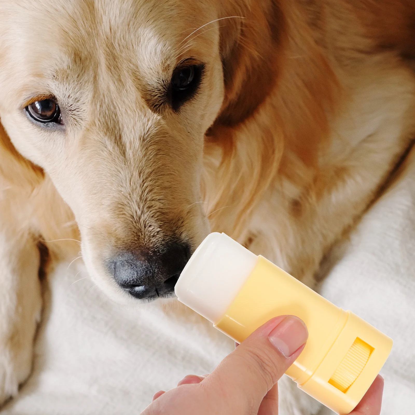 

Paw Balm Pet Moisturizing Dog Cream Butter Care Beeswax Protector Foot Cream for Cats Dogs Small Pets Safe NonAllergic Dry