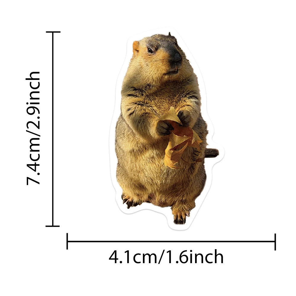 10/30/50 pçs animal bonito marmota meme graffiti adesivos engraçado decalques decoração telefone portátil garrafa de água adesivo para crianças brinquedo