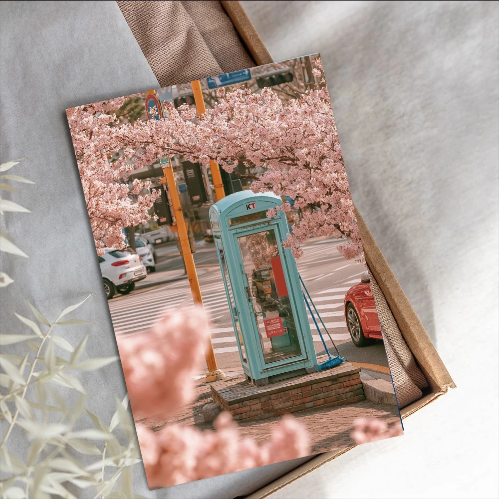 10PCS Japanese Cherry Blossoms Card Sticker Poster Decoration DIY Scrapbooking Creative Postcard Graphic Supplies Cards