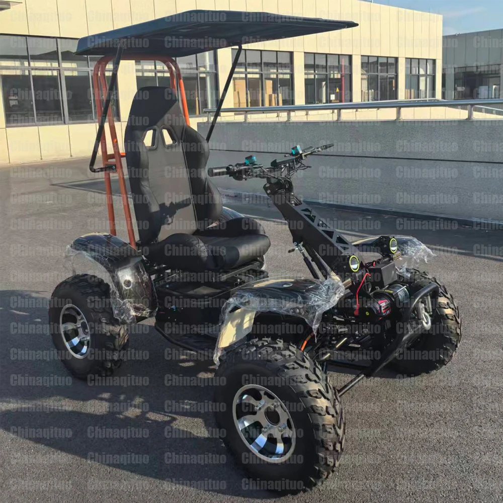 High Quality 4-Wheel Electric Mobility Go Kart For Adults All-Terrain Free Classics With 60V 50AG Li-Battery